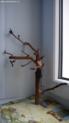 Коряга в аквариуме