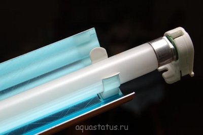 Подбор освещения для аквариума