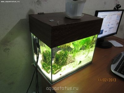 Фото Крышка для аквариума (photo#34719)