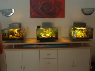 Фото Аквариум Hagen Fluval EDGE (photo#352)