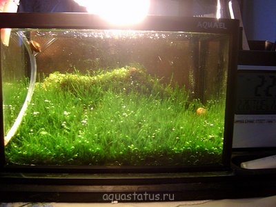 Фото Реконструкция горного пейзажа 1,5 литра Ю.В.  (photo#35558)