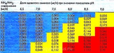 Фото Мой аквариум 110 литров Rus31ruS  (photo#35706)