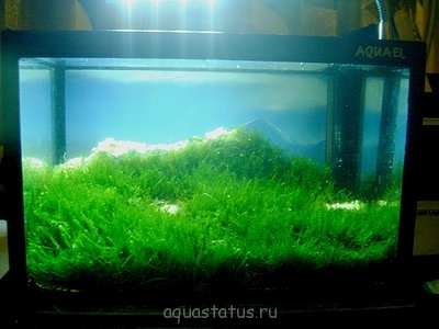 Фото Реконструкция горного пейзажа 1,5 литра Ю.В.  (photo#36166)