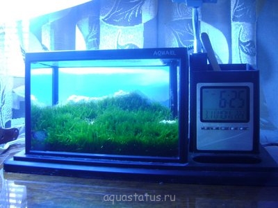 Фото Реконструкция горного пейзажа 1,5 литра Ю.В.  (photo#36220)