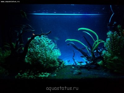 Внешний фон из ДВП с подсветкой