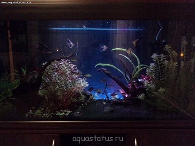Внешний фон из ДВП с подсветкой