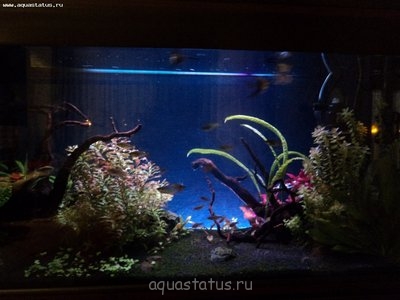 Внешний фон из ДВП с подсветкой