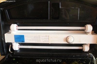 Фото Старый аквариум - первый осмысленный запуск 60 литров M.S.  (photo#36984)