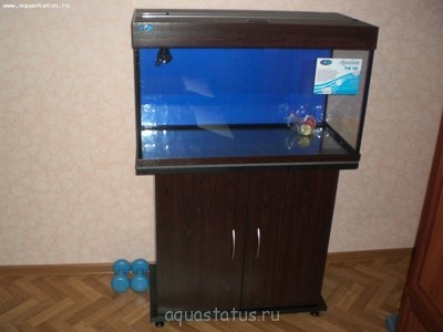 Фото Аквариум с растениями 140 литров Amateur  (photo#37452)