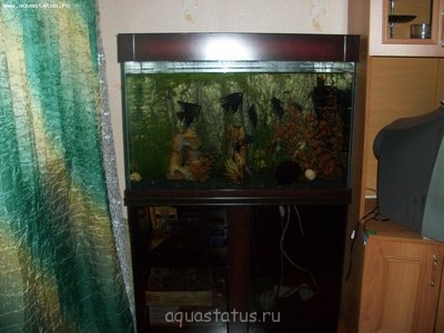 Внешний черный фон из мусорных мешков