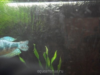 Внешний черный фон из мусорных мешков