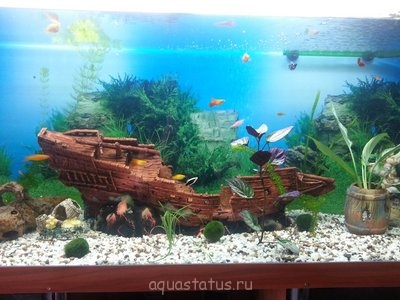 Умирают рыбки в аквариуме