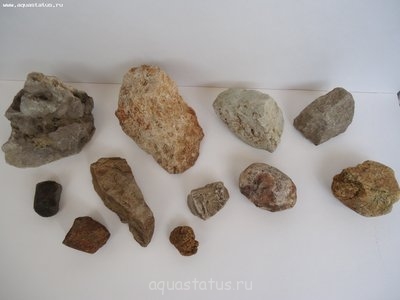 Фото Мастер-класс по акваскейпингу Шабаш на Лысой горе 60л Сашундарин  (photo#37922)