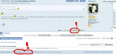 Мой новый и долгожданный аквариум 280 литров (Smelov)