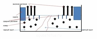 Что нужно учесть при планировании аквариума