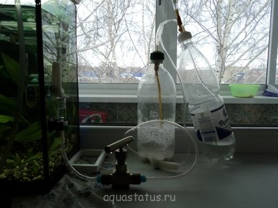 Фото Аквариум новичка 40 литров Odinocka111.86  (photo#38077)