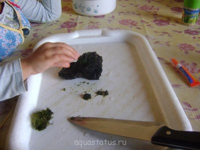 Фото Ивагуми в старой вазе Ю.В.  (photo#38508)
