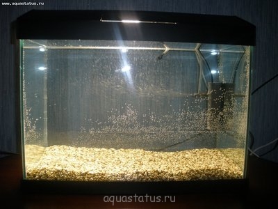 Фото Аквариум 50 литров Алексейzz  (photo#39100)