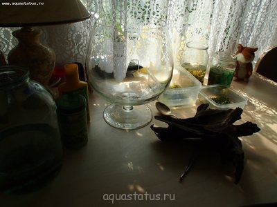 Фото Аквариум-рюмка 6 литров Сашундарин  (photo#39475)