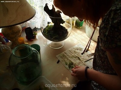 Фото Аквариум-рюмка 6 литров Сашундарин  (photo#39480)