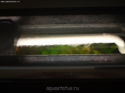 Фото Мой новый аквариум RIO 400 литров dimetrius  (photo#39802)