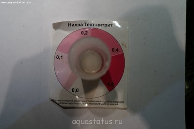 Первый аквариум  - волнительно и страшно 180 литров (dankora)