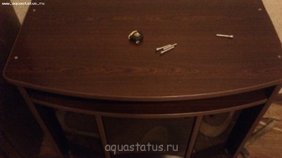 Фото Имеет ли право на жизнь такой аквариум? (photo#41192)