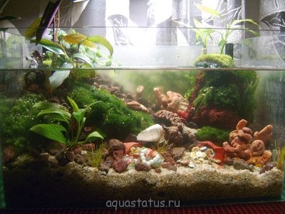 Фото Креативный конкурс Куда уходит детство? (photo#41759)