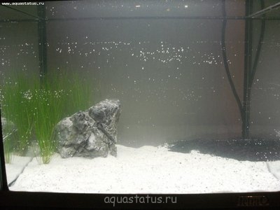 Фото Аквариумы Tetra 2 по 20 литров dimetrius  (photo#41837)