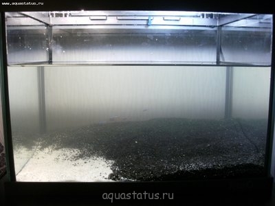 Фото Аквариумы Tetra 2 по 20 литров dimetrius  (photo#41838)