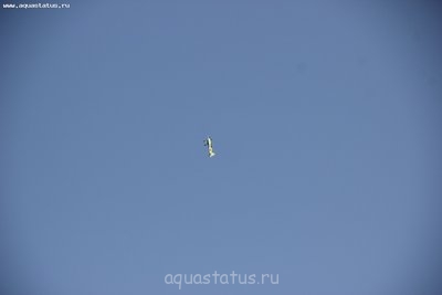 Фото наших участников
