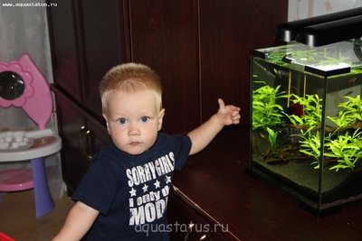 Фото наших участников