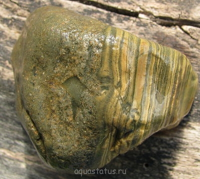 Фото Подбор камней для аквариума (photo#42034)