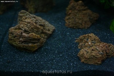 Мой долгожданный аквариум на 150 литров (AlenaMarishka)