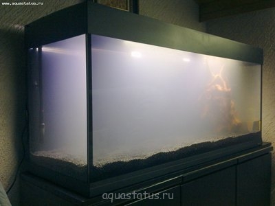 Фото Аквариум Ferplast Dubai 120 на 240 литров sLOVEnka  (photo#42089)