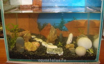 Фото Креативный конкурс Куда уходит детство?  (photo#42183)