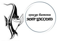 Фото Конкурс биотопов цихлид в Украине (photo#45563)