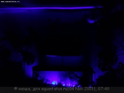 Аквариум 280 литров (нюша)