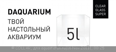 Настольный аквариум из суперпрозрачного стекла - DAQUARIUM
