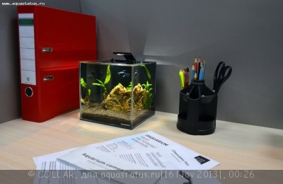 Настольный аквариум из суперпрозрачного стекла - DAQUARIUM