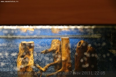 Коряга в аквариуме