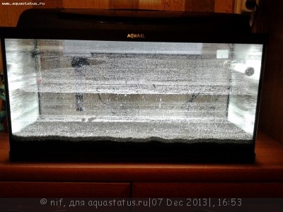 Фото Мой первый аквариум 54 литра nif  (photo#47972)