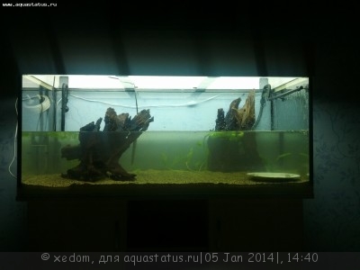 Фото Аквариум ver. 2.0 на 300 литров xedom  (photo#49206)