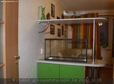 Первый акваскейп OLAGA (100л)