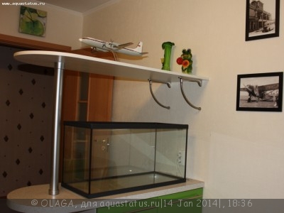 Первый акваскейп OLAGA (100л)