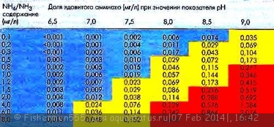 Фото Живая вода (photo#50855)