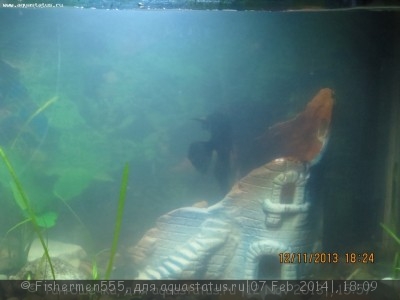 Фото Живая вода (photo#50876)