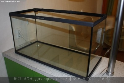 Первый акваскейп OLAGA (100л)