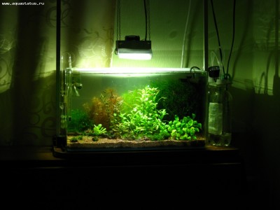 Фото LED - небольшой опыт (photo#52004)