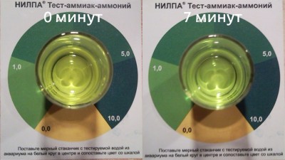 Фото Тест на аммиак-аммоний НИЛПА (photo#5236)